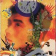 在花园里