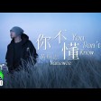 你不懂（demo）